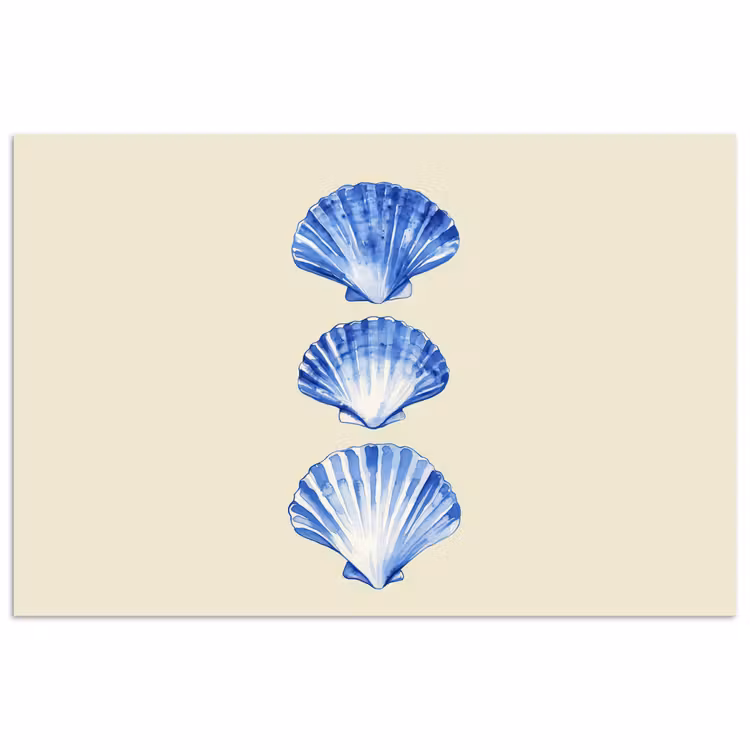 Poster - Muscheln - Blau - Beige — 1