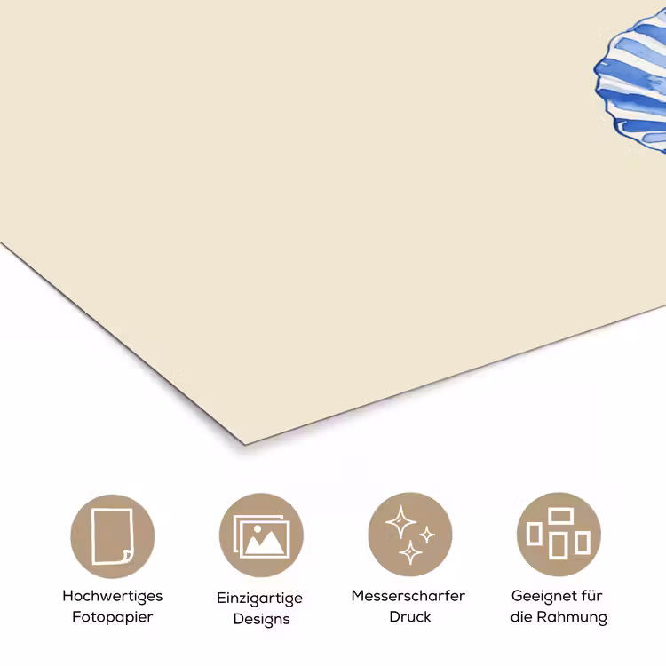 Poster - Muscheln - Blau - Beige — 5