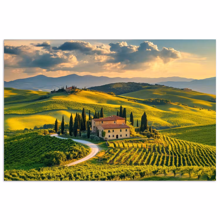 Poster - Toskana - Landschaft - Weinberge — 1