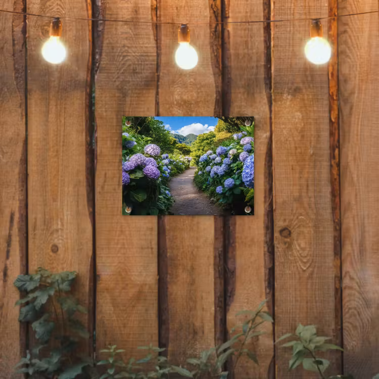 Gartenposter - Hortsensia - Kröte - Blumen — 2
