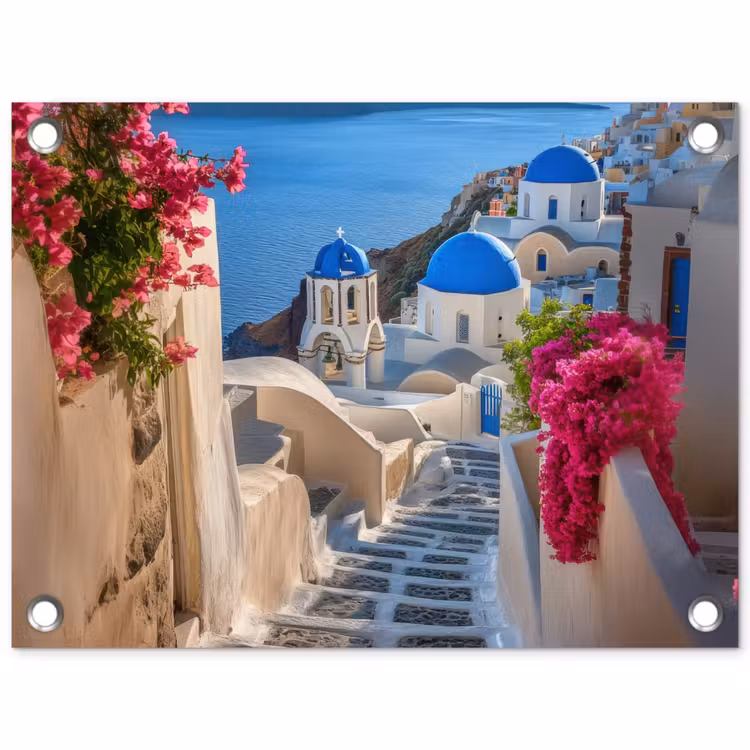 Gartenposter - Santorin - Blumen - Griechenland — 1