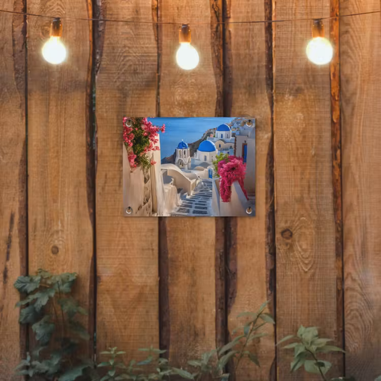 Gartenposter - Santorin - Blumen - Griechenland — 2