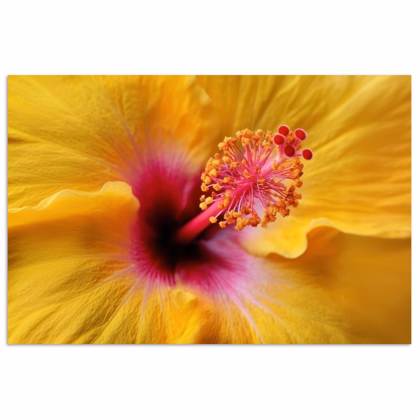 Poster - Gelb - Hibiskus - Tropisch — 1