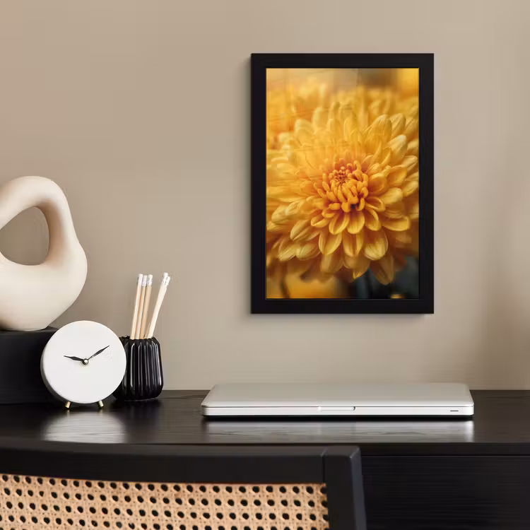 Bilder mit Rahmen - Gelb - Chrysantheme - Sanftheit — 2