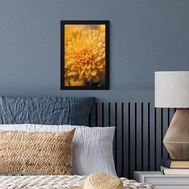 Bilder mit Rahmen - Gelb - Chrysantheme - Sanftheit — 3