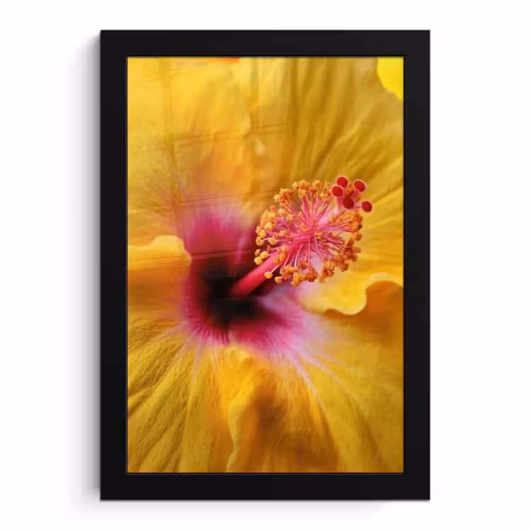 Bilder mit Rahmen - Gelb - Hibiskus - Tropisch — 1