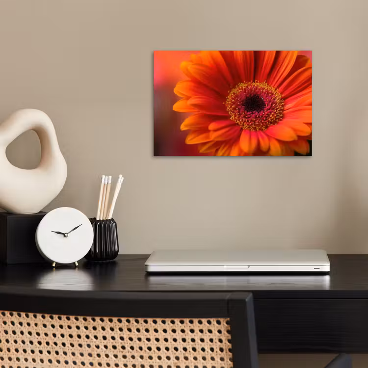 Poster - Orange - Gerbera - Intensiv — 2