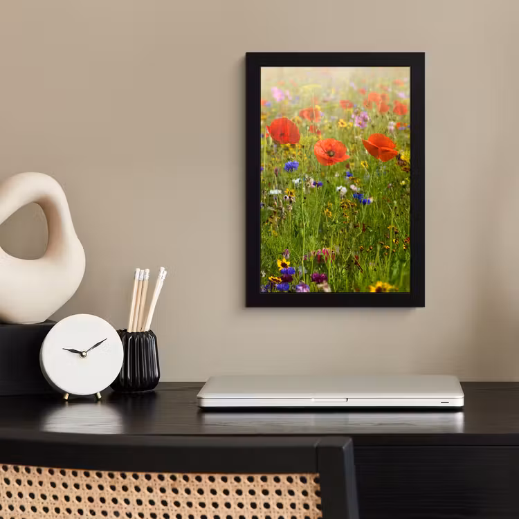 Bilder mit Rahmen - Frühling - Blumen - Rot - Mohn - Gras - Grün — 2