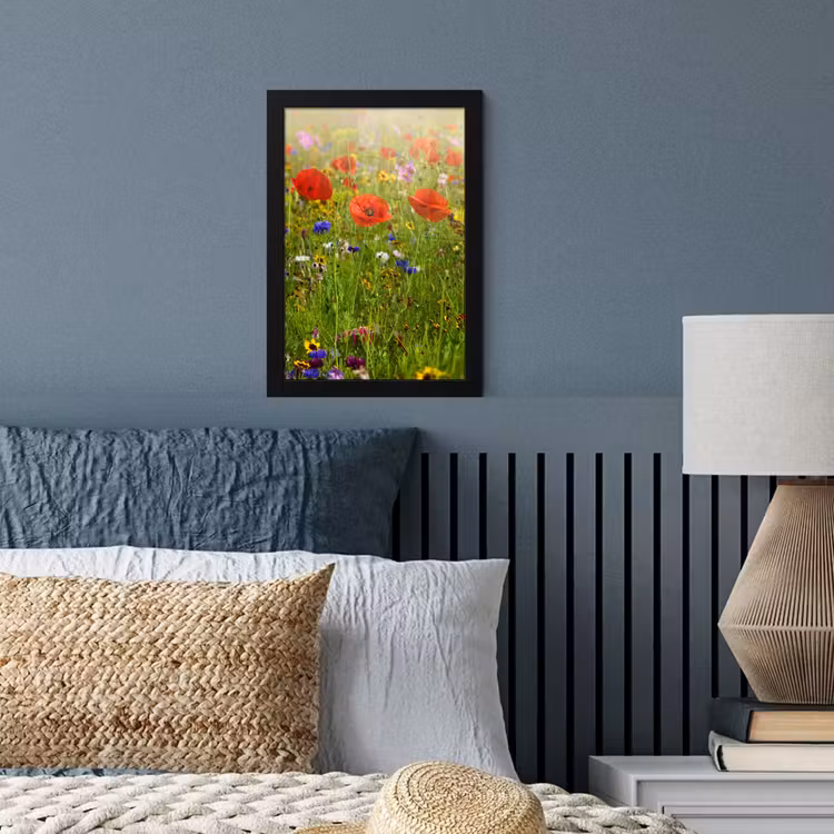 Bilder mit Rahmen - Frühling - Blumen - Rot - Mohn - Gras - Grün — 3