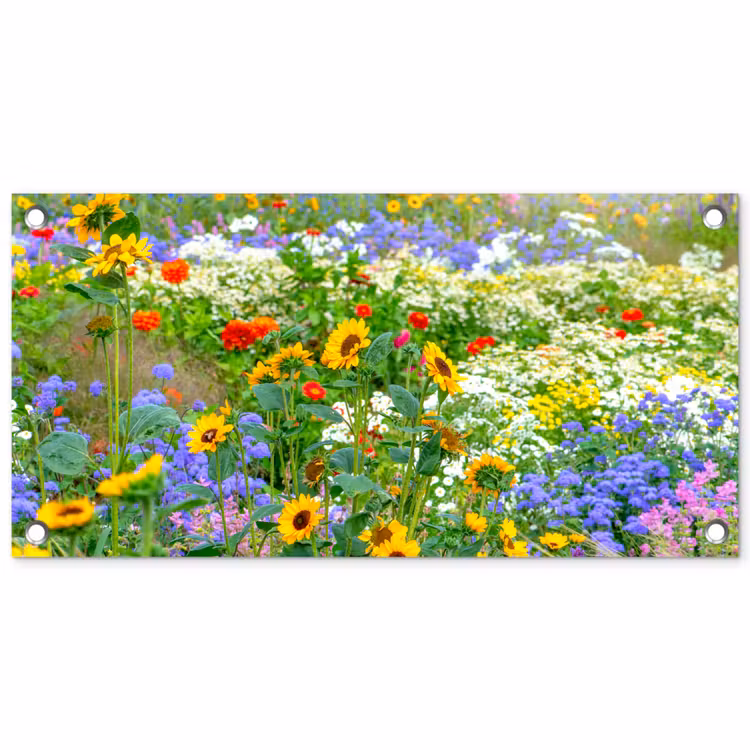 Gartenposter - Sommerblumen in voller Blüte — 1