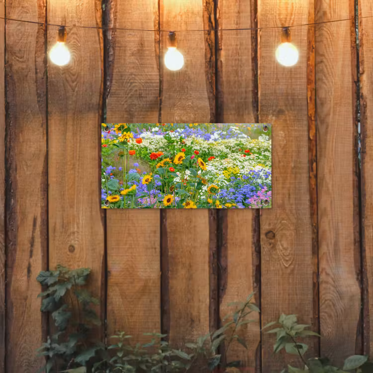Gartenposter - Sommerblumen in voller Blüte — 2