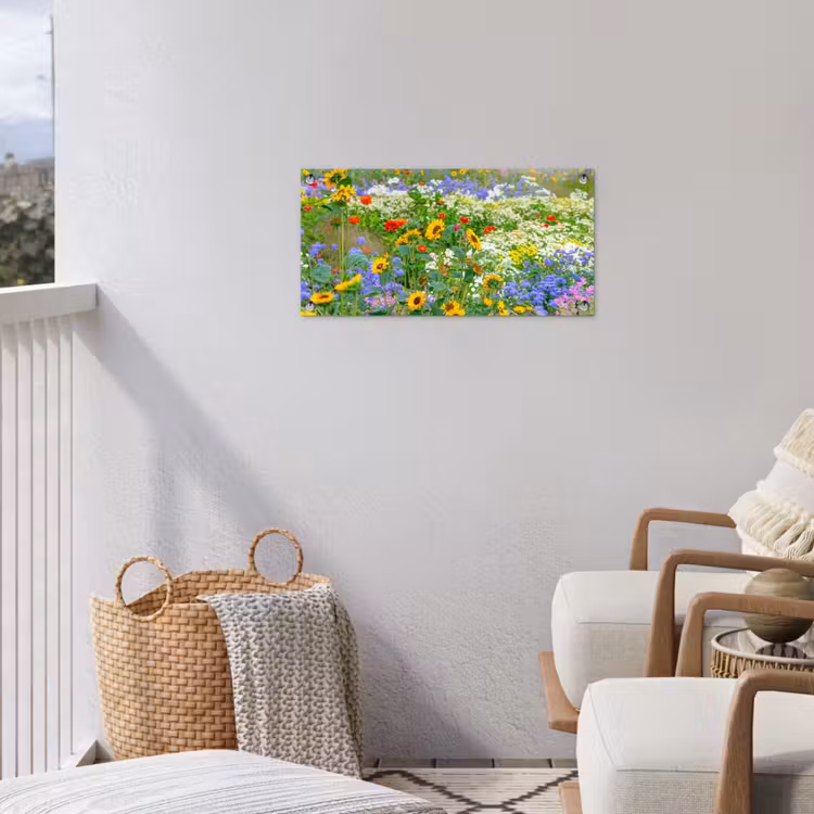 Gartenposter - Sommerblumen in voller Blüte — 5