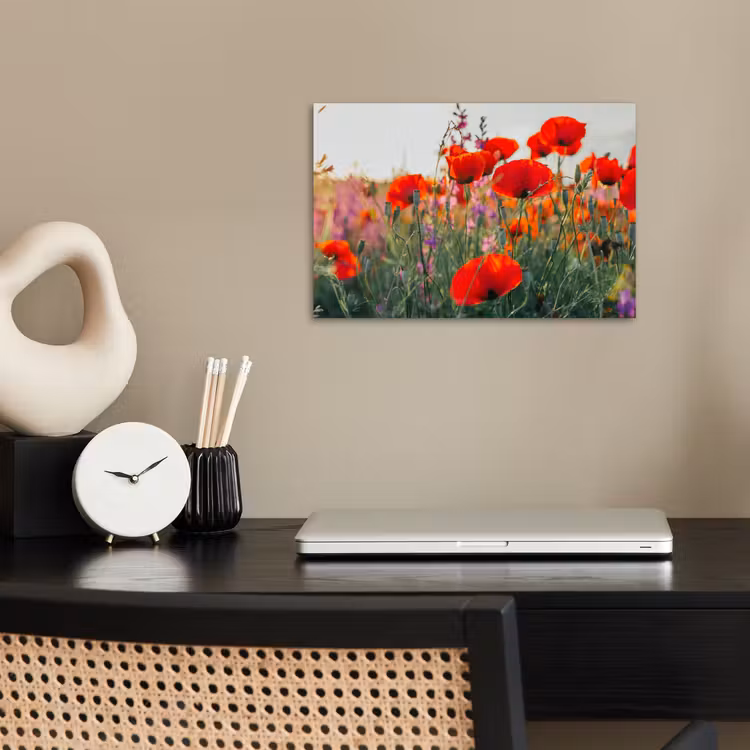 Poster - Mohn - Blumen - Rot - Lila - Wiese — 2