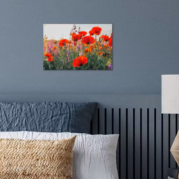 Poster - Mohn - Blumen - Rot - Lila - Wiese — 3
