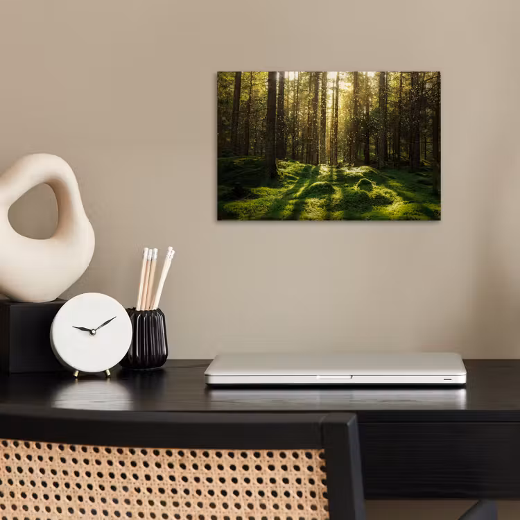 Poster - Bäume - Wald - Moos - Pflanzen - Sonne - Natur — 2