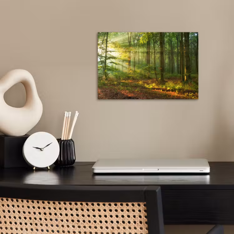 Poster - Sonne - Wald - Bäume - Natur - Herbst — 2