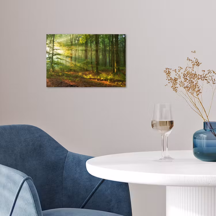 Poster - Sonne - Wald - Bäume - Natur - Herbst — 4