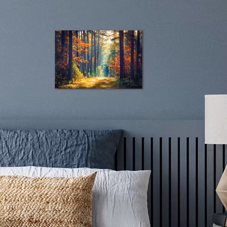 Poster - Wald – Sonne – Natur – Herbst — 3