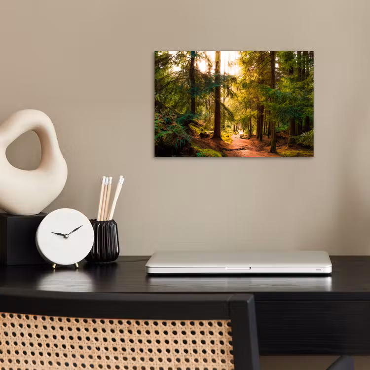 Poster - Wald - Weg - Bäume - Grün - Sonne - Natur — 2
