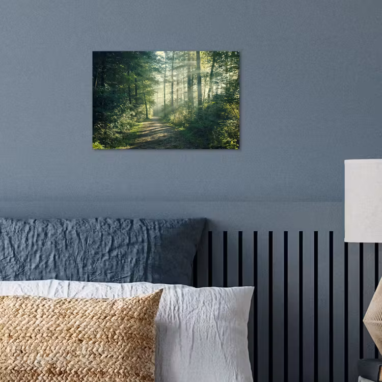 Poster - Wald - Weg - Sonne - Bäume - Grün - Natur — 3