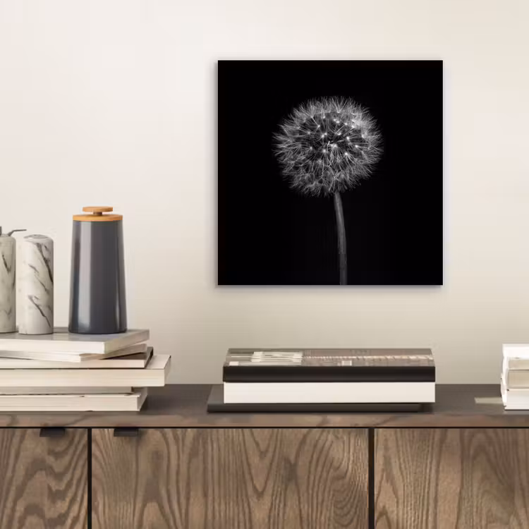 Alu-Dibond-Bild - Löwenzahn - Schwarz - Floral - Botanisch — 2