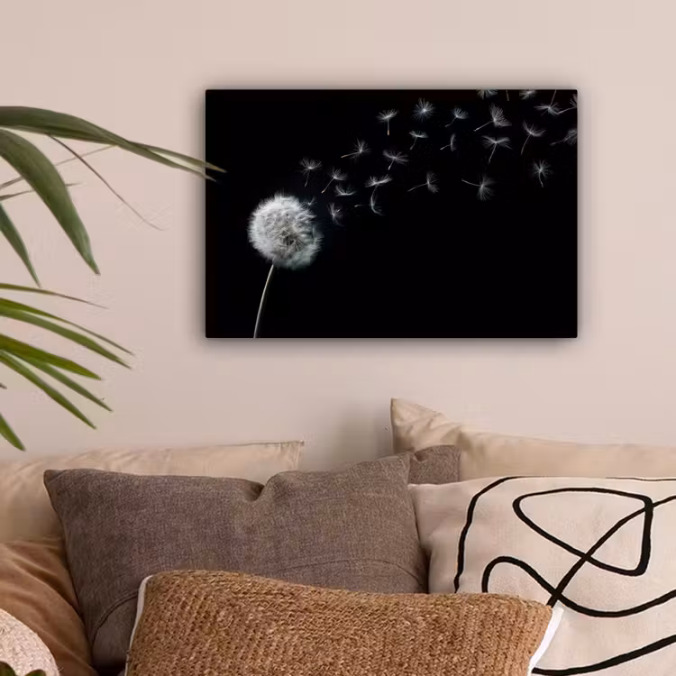 Leinwandbild - Löwenzahn - Schwarz - Natur — 2