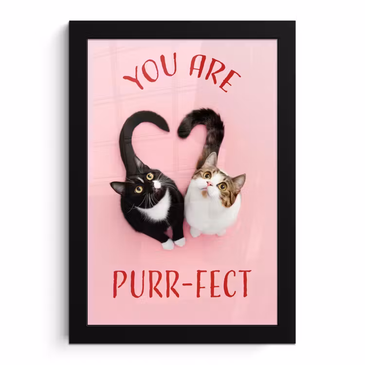 Bilder mit Rahmen - Katze - Herz - Text - Valentinstag — 1