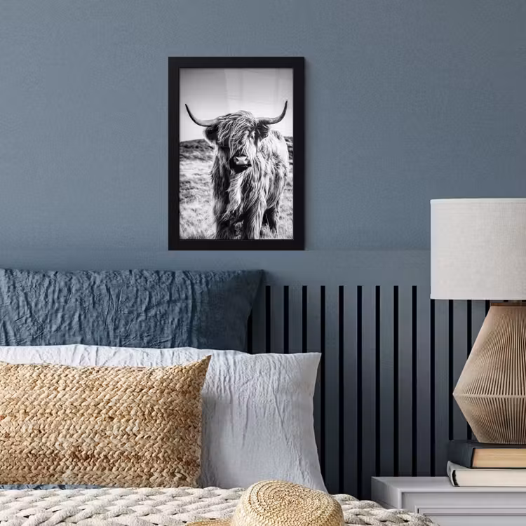 Bilder mit Rahmen - Schottischer Highlander - Natur - Kuh - Schwarz - Weiß — 3