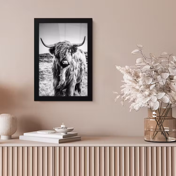 Bilder mit Rahmen - Schottischer Highlander - Natur - Kuh - Schwarz - Weiß — 4
