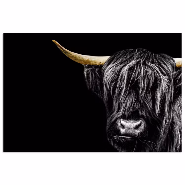 Poster - Schottischer Highlander - Gold - Mantel - Tiere - Kuh — 1
