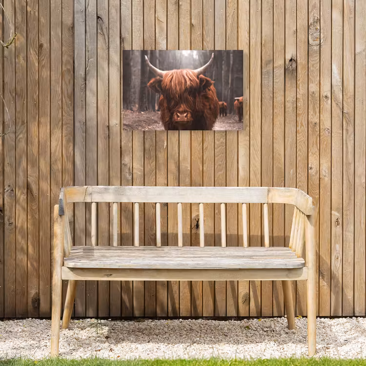 Outdoor Leinwand - Highlander im Wald — 3