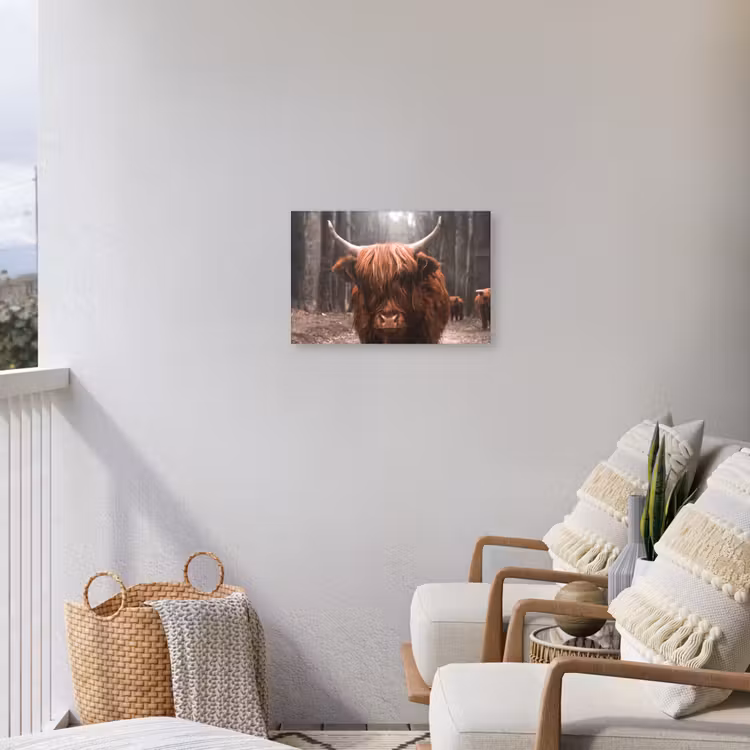 Outdoor Leinwand - Highlander im Wald — 4