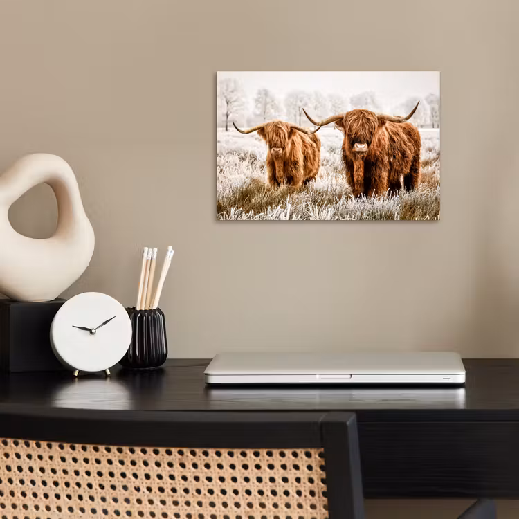 Poster - Schottischer Hochländer - Kuh - Natur - Winter — 2