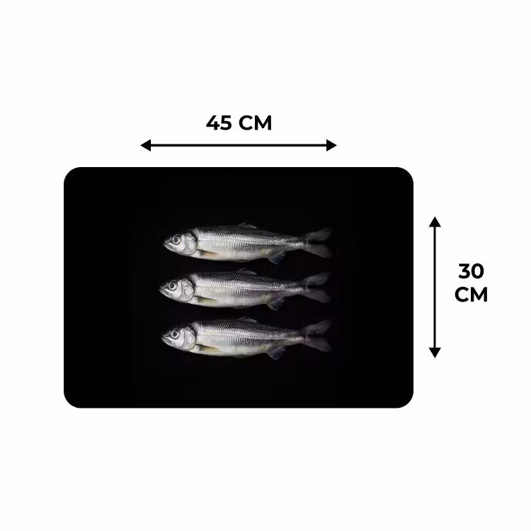 Tischset - 6 Stück - Hering - Fisch - Schwarz — 3
