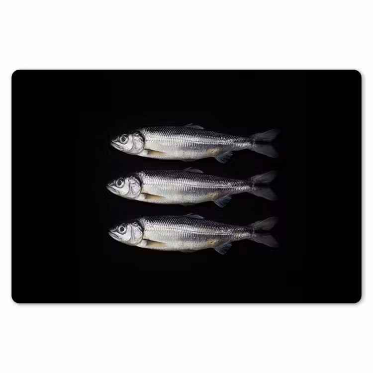 Tischset - 6 Stück - Hering - Fisch - Schwarz — 6