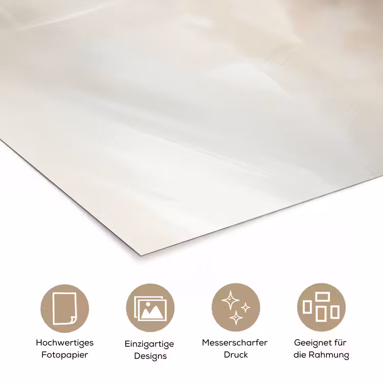Poster - Blume - Beige - Farbe - Schatten — 5