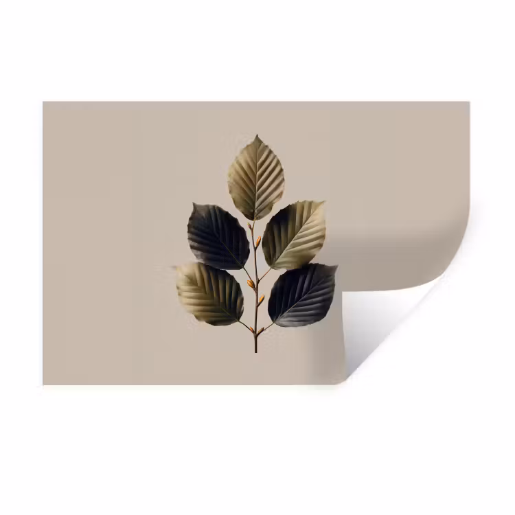 Wandtattoo – Buchenblätter - Braun - Grün - Neutral — 1