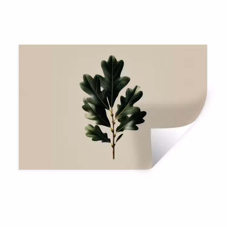 Wandtattoo – Eichenblätter - Beige - Grün - Gewellte Ränder — 1