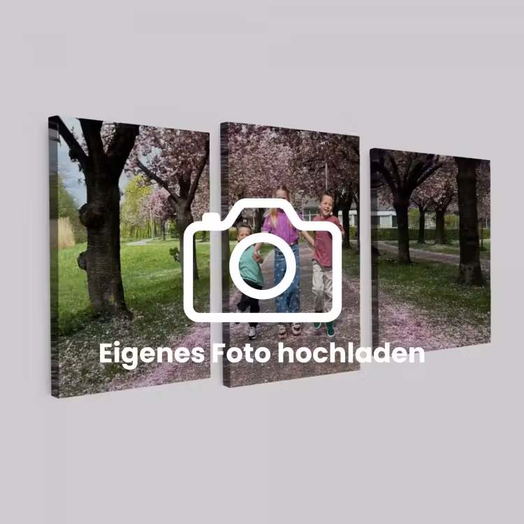 Foto auf Leinwand-Dreiteiler - 120x60 cm — 1