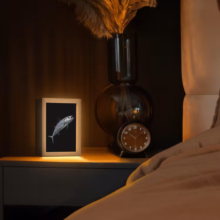 Tischlampe - Makrele - Fisch - Schwarz — 2