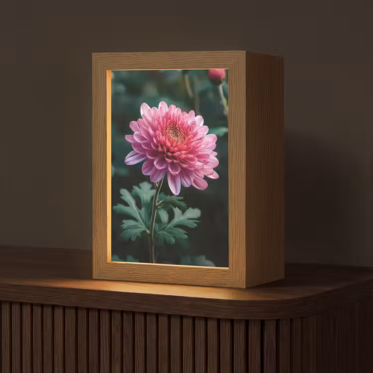 Tischlampe - Blatt - Chrysantheme - Rosa - Schatten — 1