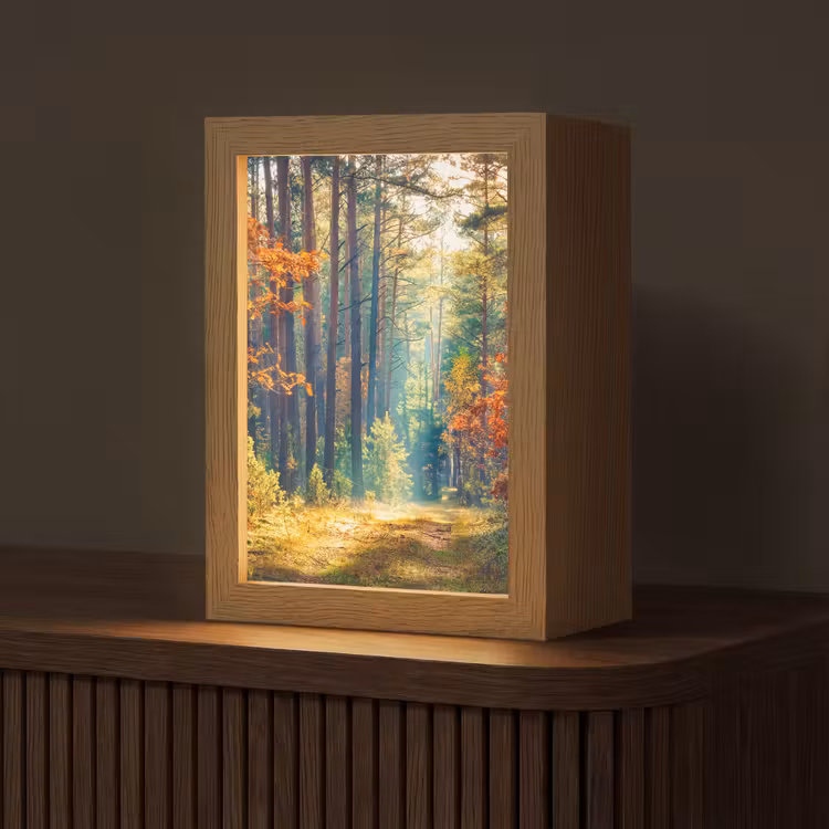 Tischlampe - Wald - Sonne - Natur - Herbst — 1