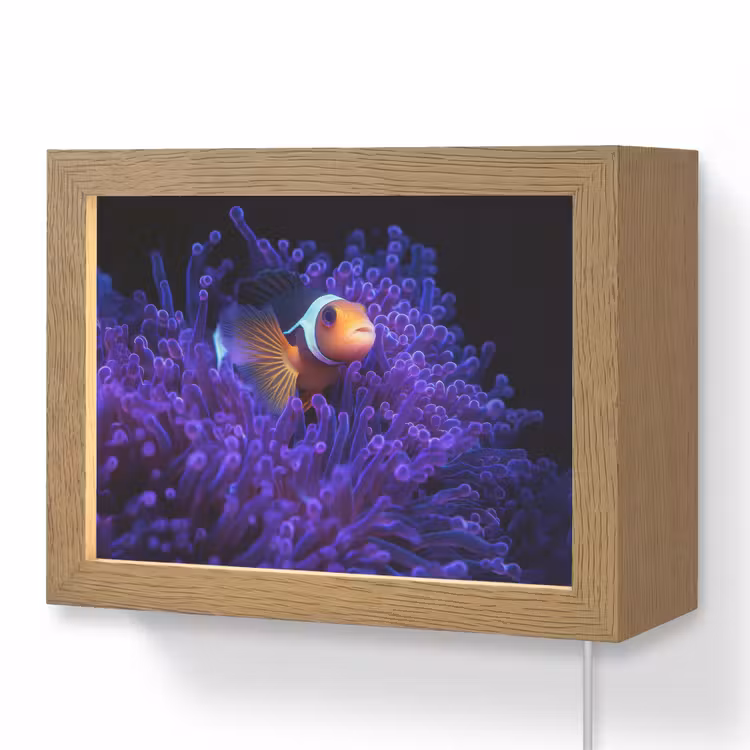 Lightbox - Wandleuchte - Koralle - Fisch - Orange - Meer — 1
