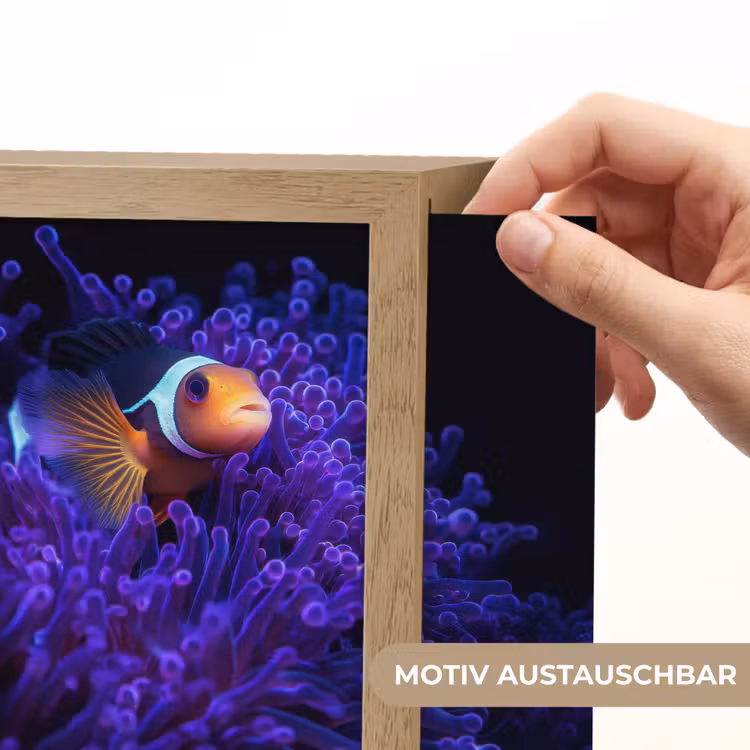 Lightbox - Wandleuchte - Koralle - Fisch - Orange - Meer — 6
