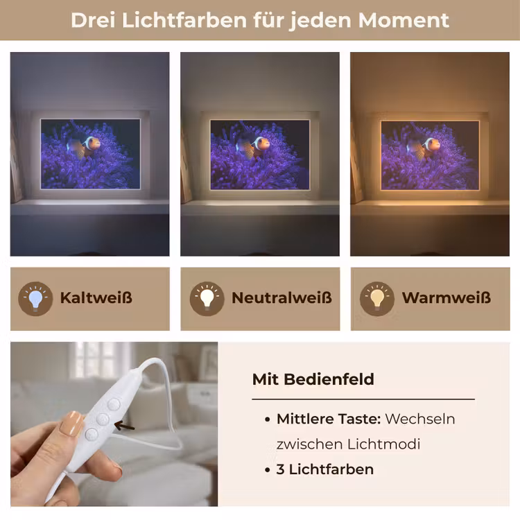 Lightbox - Wandleuchte - Koralle - Fisch - Orange - Meer — 7