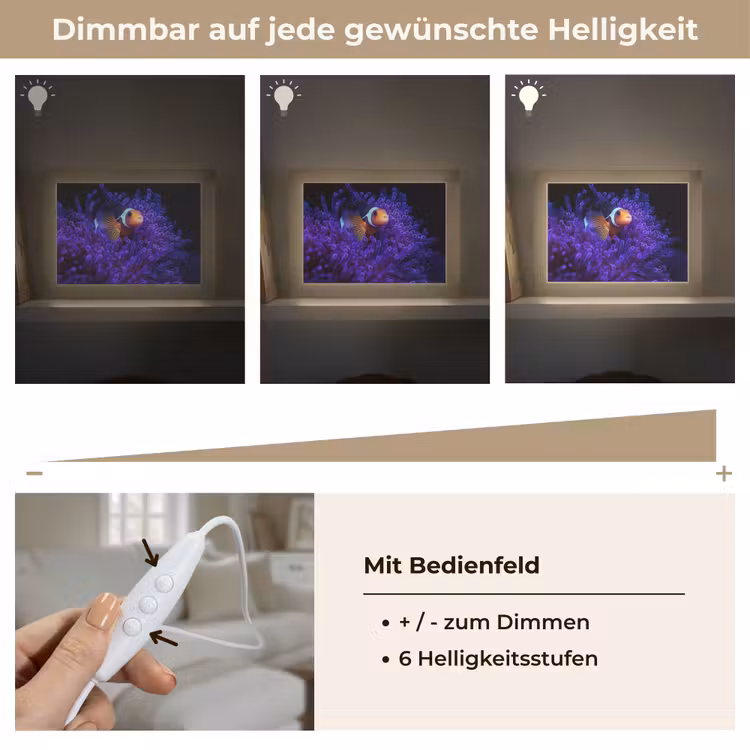 Lightbox - Wandleuchte - Koralle - Fisch - Orange - Meer — 8