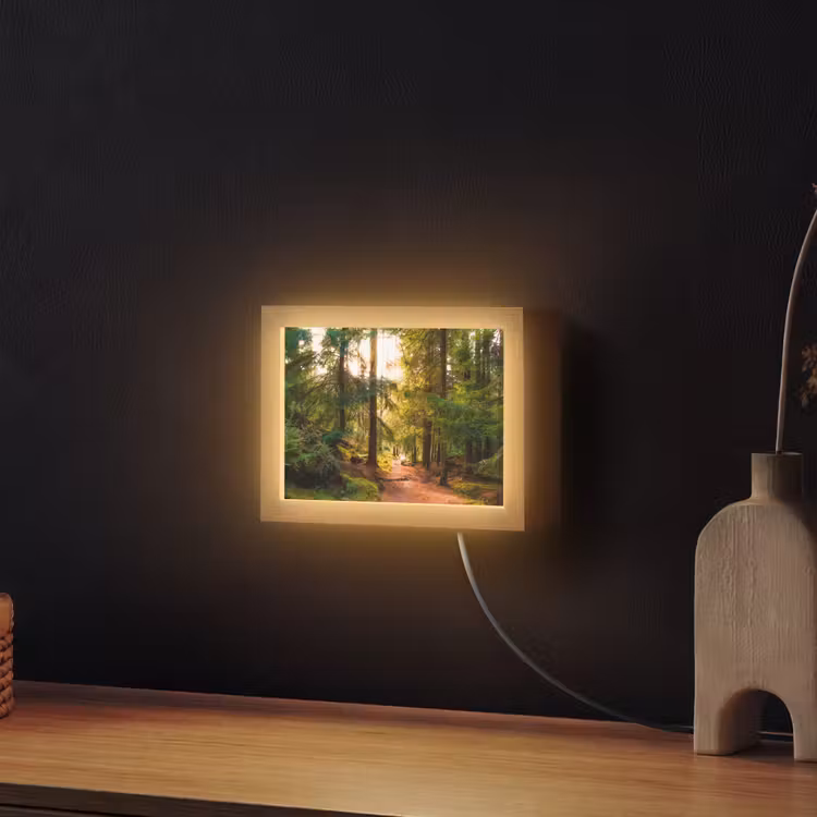 Lightbox - Wandleuchte - Wald - Weg - Bäume - Grün - Sonne - Natur — 2