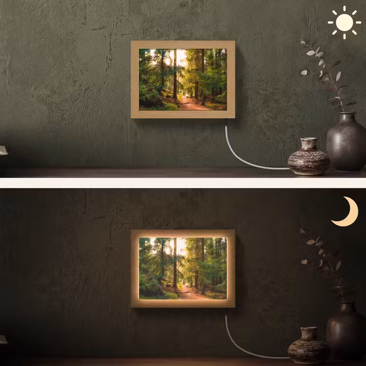 Lightbox - Wandleuchte - Wald - Weg - Bäume - Grün - Sonne - Natur — 3