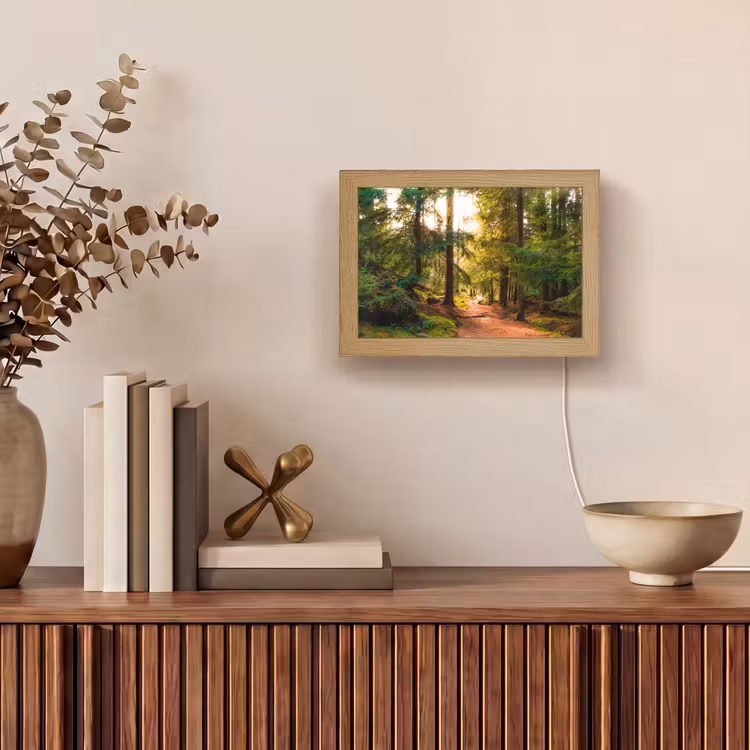 Lightbox - Wandleuchte - Wald - Weg - Bäume - Grün - Sonne - Natur — 4