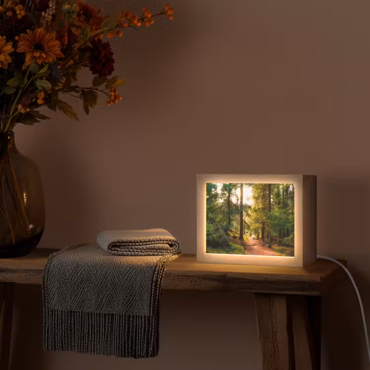 Lightbox - Wandleuchte - Wald - Weg - Bäume - Grün - Sonne - Natur — 5